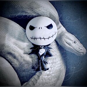 NBC Jack Skeleton official magnet